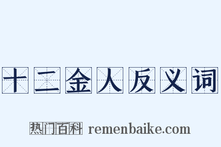 十二金人反义词是什么意思的图片